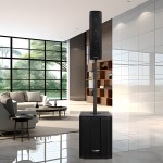 Tuman TU1201DSP Sistema de audio profesional de alta potencia de 12 pulgadas y 1.1 canales con DSP - Image 2